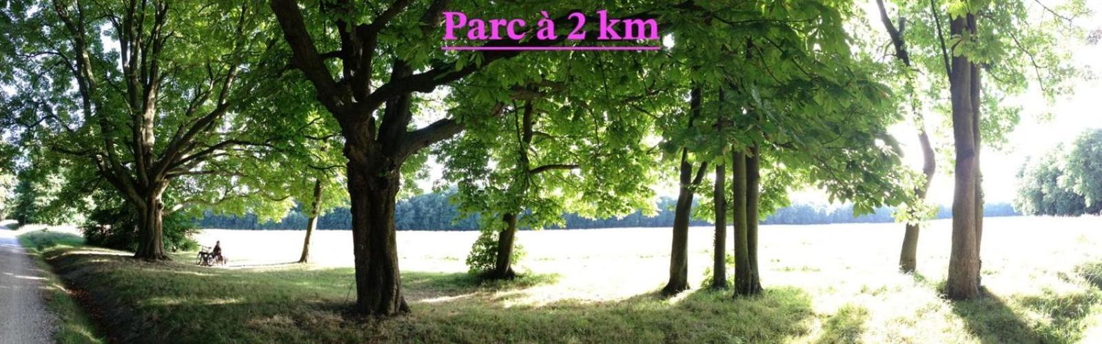 D'hote A 13 Minutes De Disneyland * Champs-Sur-Marne